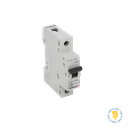 AUTOMATICO MONOFASICO 1X40A BTICINO  / CURVA C - 6K
